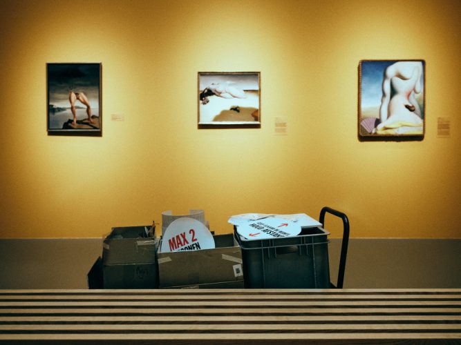 Afbeelding bij Fotoserie deel 15: Coronaproof kunst