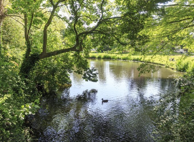 Image for Boats, bridges, farms & Vinex