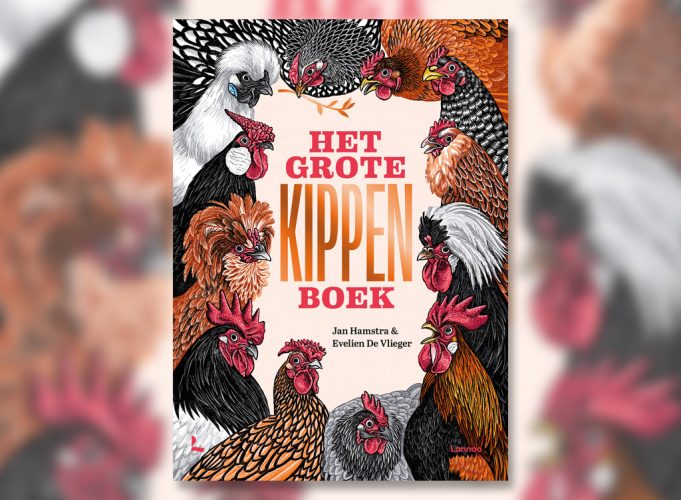 Afbeelding bij Tim's Boekentip <h5>Het grote kippenboek</h5>