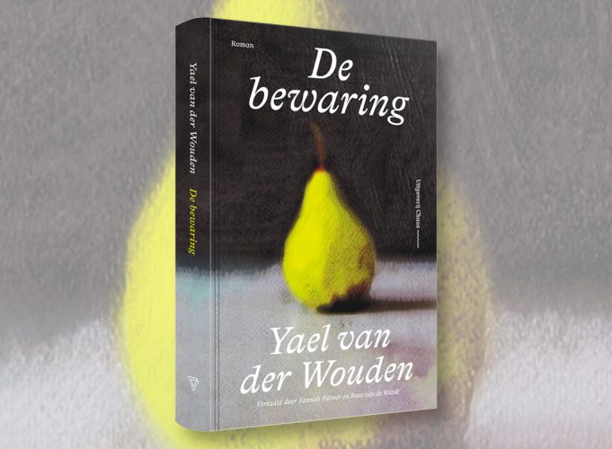 Afbeelding bij Tim's Boekentip: De Bewaring van Yael van der Wouden