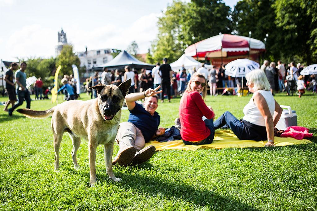 Foto van mensen in Park Lepelenburg tijdens festival A Lazy Sunday Afternoon. Foto door Ron Beenen.