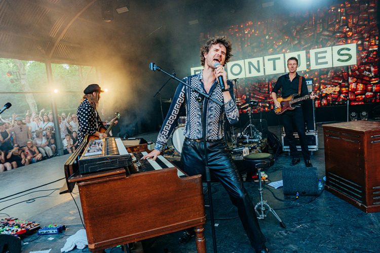 Afbeelding bij Castellum Hoge Woerd viert feest met gratis festival