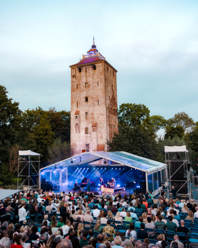 Afbeelding bij Tuinfeest XXL - Rapunzel Festival