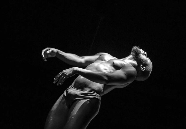 Afbeelding bij Afrovibes Festival: Gedeelde grond